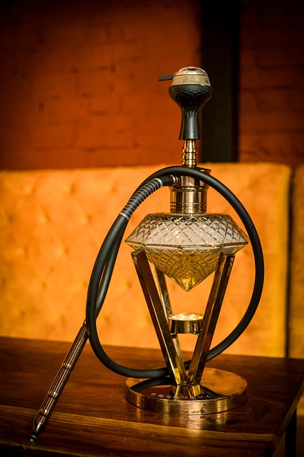 vape starter kit